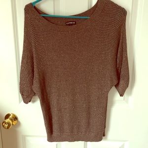 Express Brown Sparkles Sweater